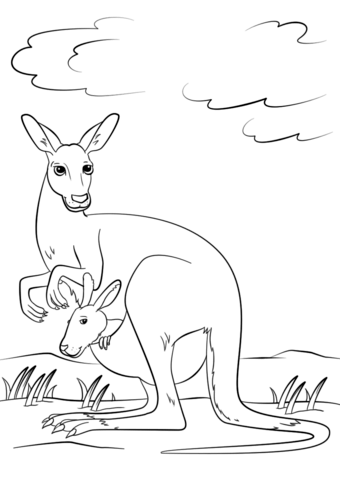 Cute Kangaroo With Baby In Pouch Coloring Page